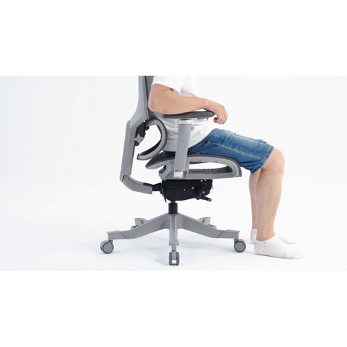Latitude Run® Tatamy Office Ergonomic Mesh Task Chair & Reviews